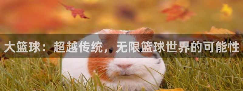 大篮球：超越传统，无限篮球世界的可能性