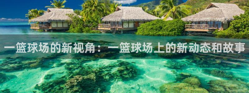 一篮球场的新视角：一篮球场上的新动态和故事