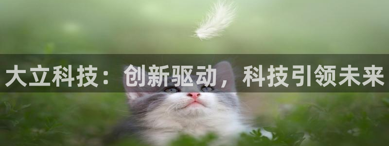 大立科技：创新驱动，科技引领未来
