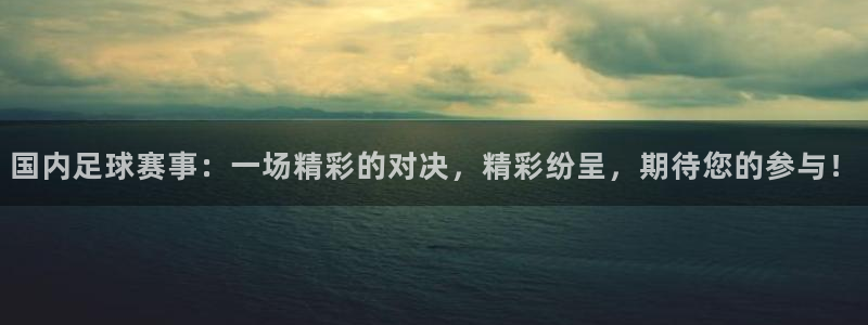 国内足球赛事：一场精彩的对决，精彩纷呈，期待您的参与！