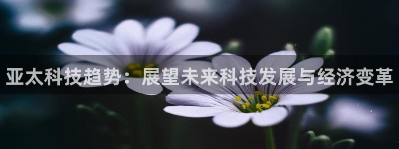 亚太科技趋势：展望未来科技发展与经济变革