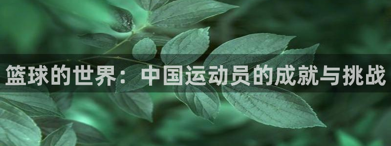 篮球的世界：中国运动员的成就与挑战