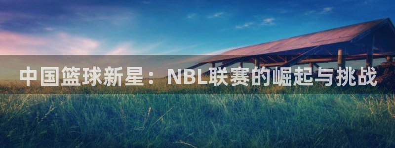 中国篮球新星：NBL联赛的崛起与挑战