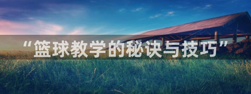 “篮球教学的秘诀与技巧”